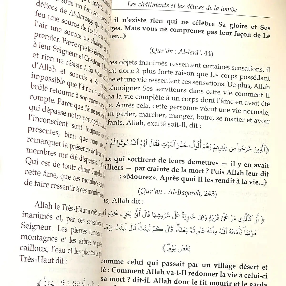 La Vie après la mort - Cheikh Salih Al-Fawzan (Éditions Al Bayyinah)