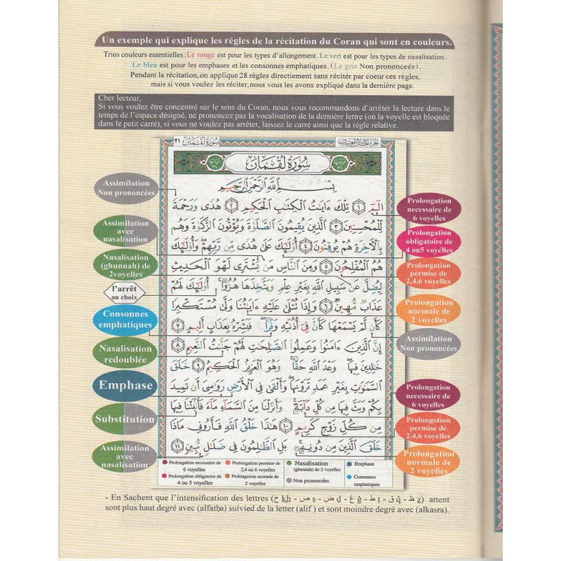 Coran Al-Tajwîd – Juzz 'Amma (Grand Format) - Islema.fr 1ns2s0-7q.myshopify.com Dar Al-Ma'arifah