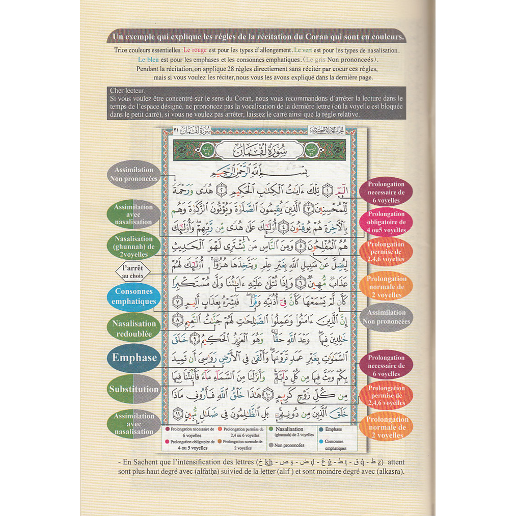 Coran Al-Tajwîd – Juzz 'Amma (Grand Format) - Islema.fr 1ns2s0-7q.myshopify.com Dar Al-Ma'arifah
