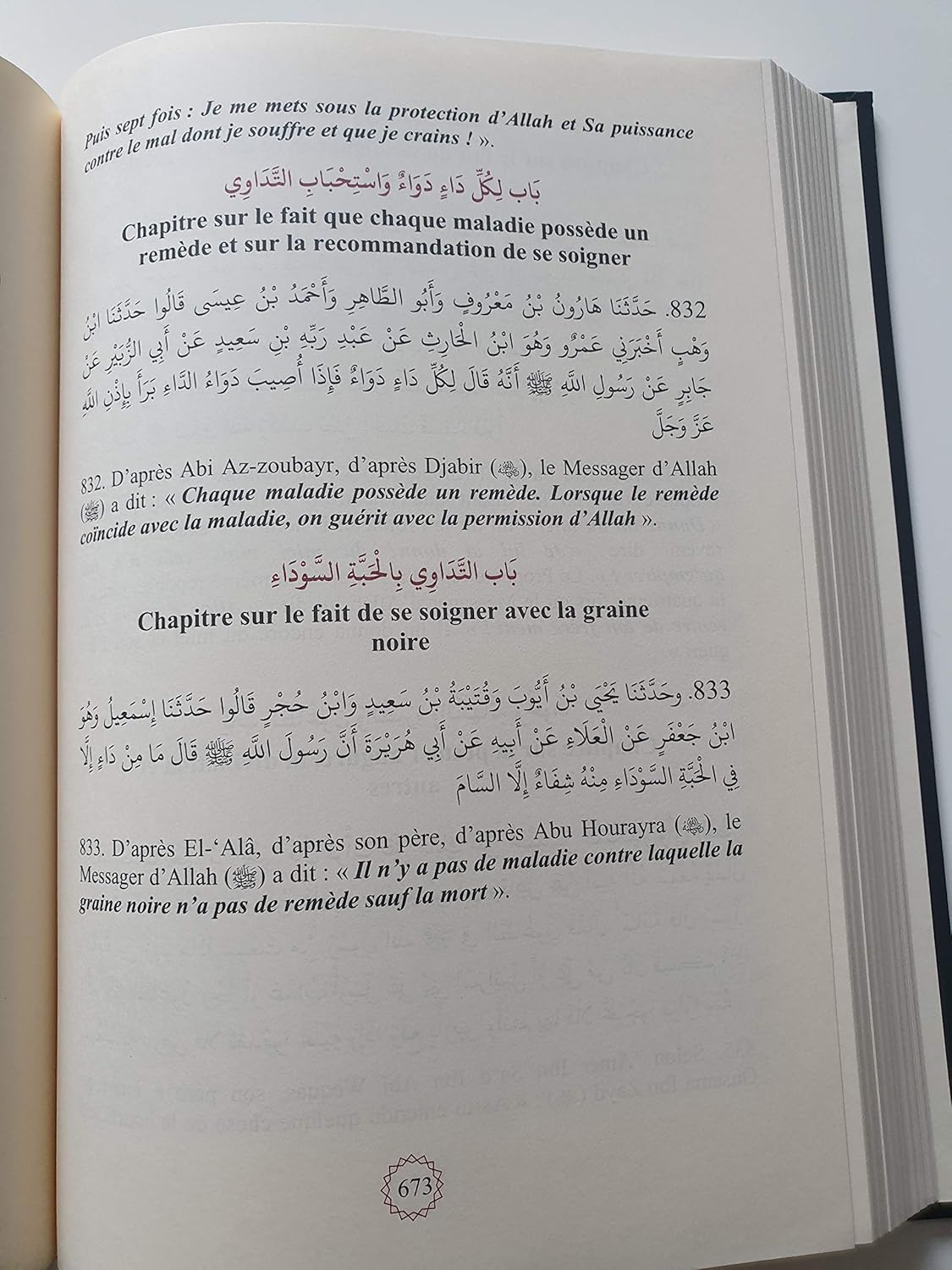 Résumé de Sahih Mouslim - Commentaire An-Nawawi (Bilingue)