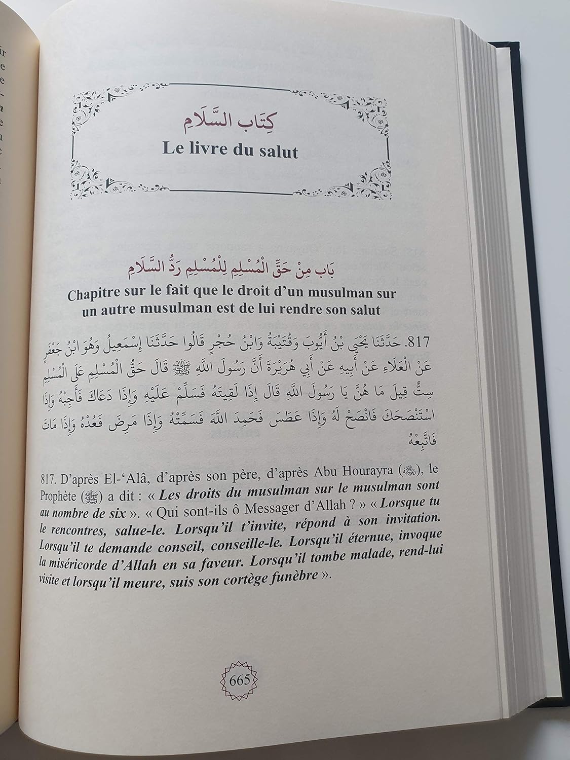 Résumé de Sahih Mouslim - Commentaire An-Nawawi (Bilingue)