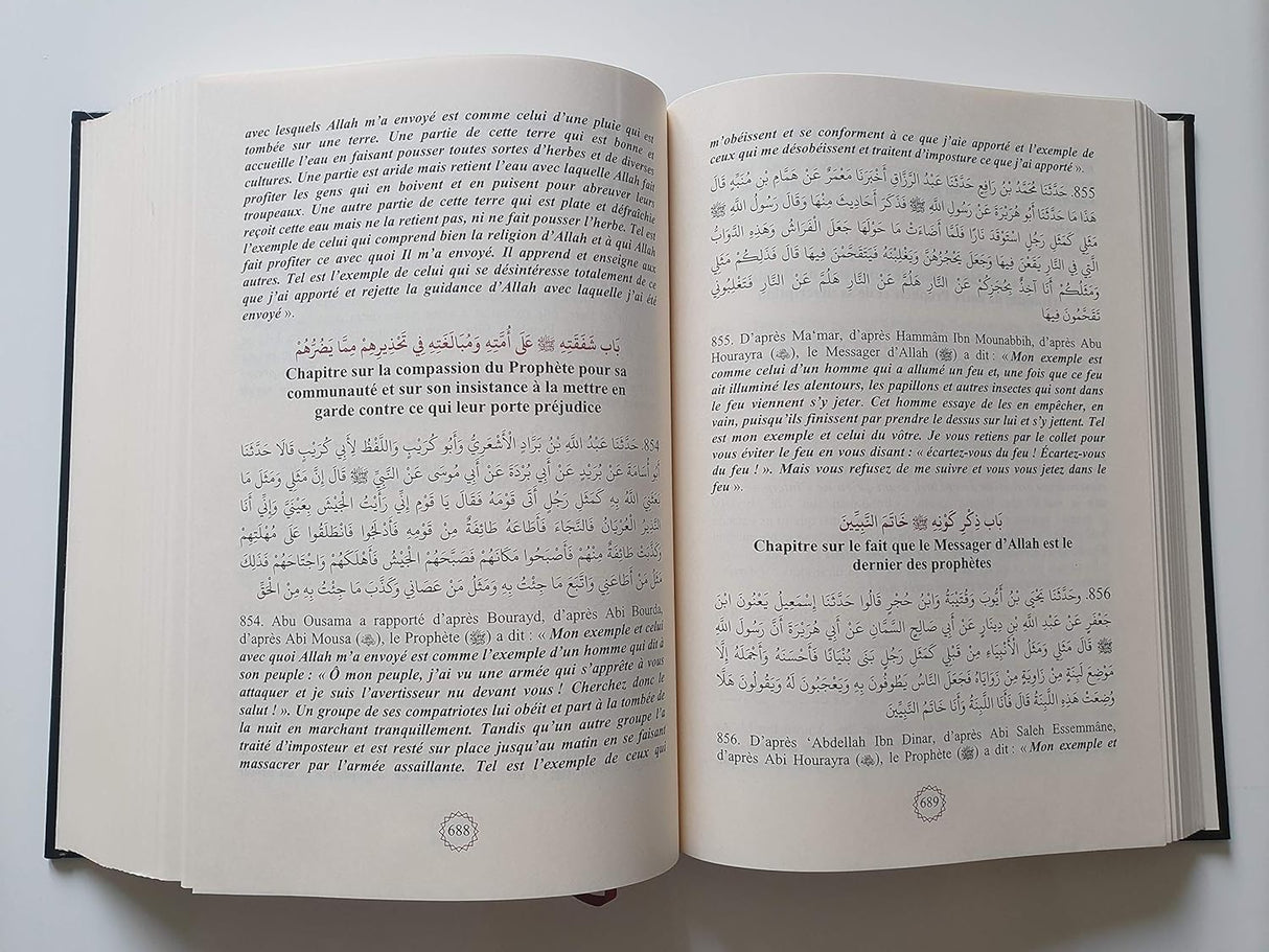 Résumé de Sahih Mouslim - Commentaire An-Nawawi (Bilingue)