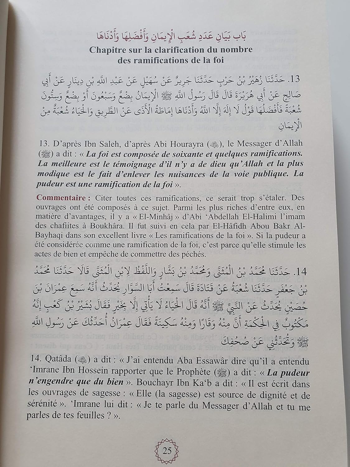 Résumé de Sahih Mouslim - Commentaire An-Nawawi (Bilingue)