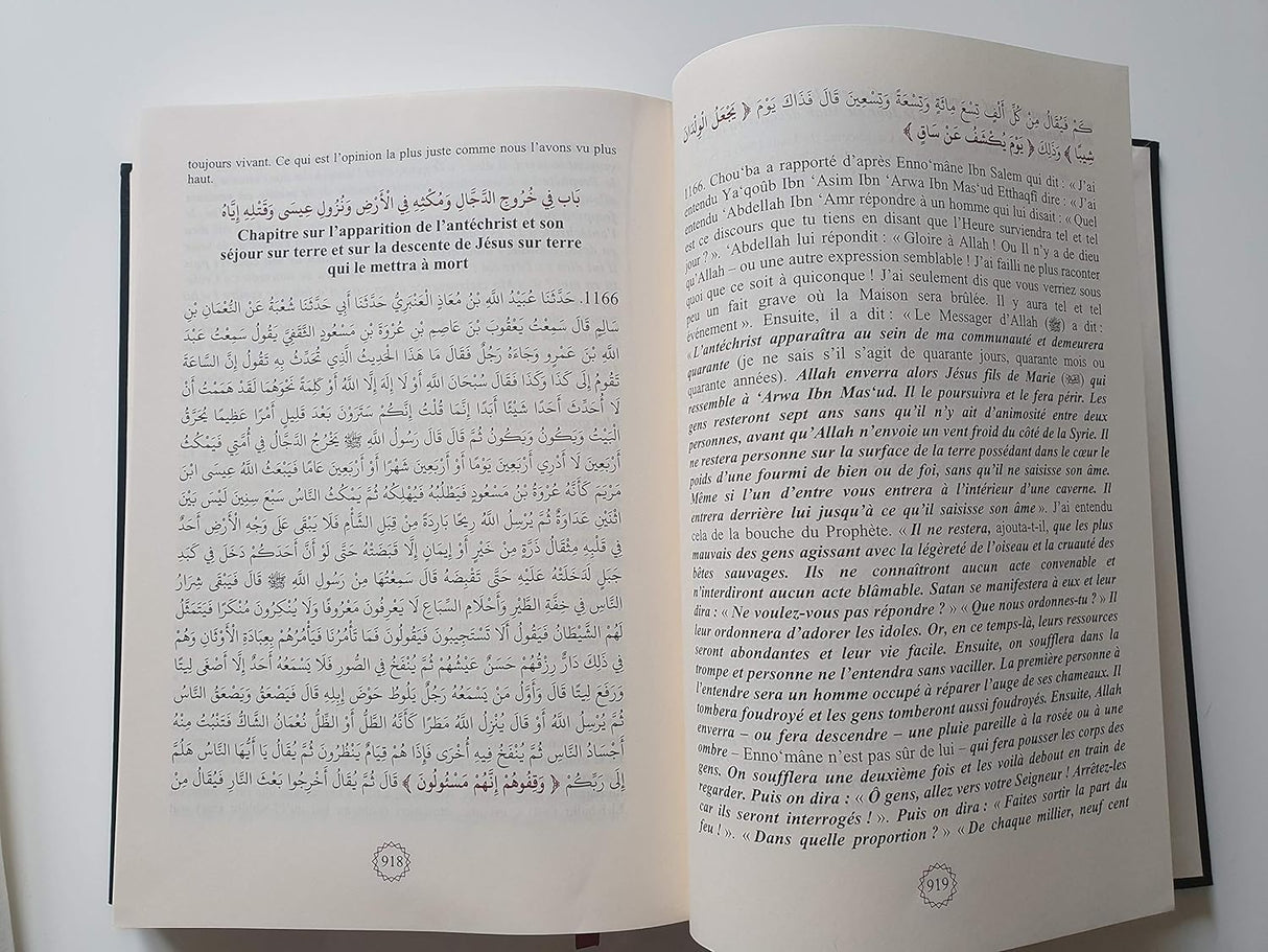 Résumé de Sahih Mouslim - Commentaire An-Nawawi (Bilingue)